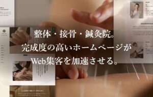 【TCD】HOLOS 特徴やメリットとデメリット！おすすめ出来る人について！【WordPressテーマ】