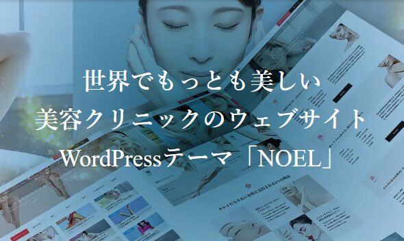 【TCD】NOEL 特徴やメリットとデメリット!おすすめ出来る人について!【WordPressテーマ】
