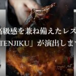 【TCD】TENJIKU 特徴やメリットとデメリット！おすすめ出来る人について！【WordPressテーマ】